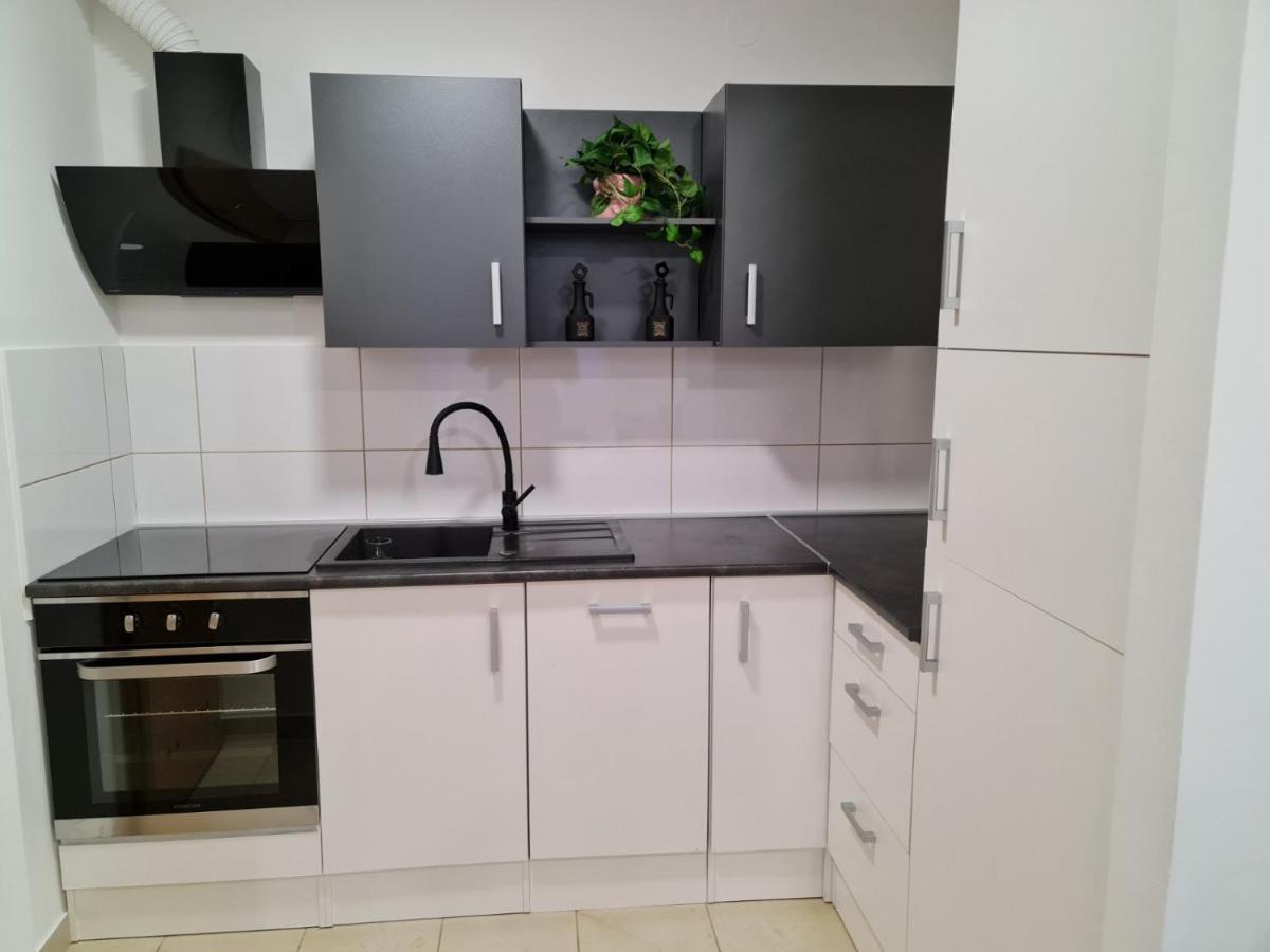 Apartman Vinyl - Self Chek-In オシエク エクステリア 写真